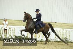 24R13_17266 proof