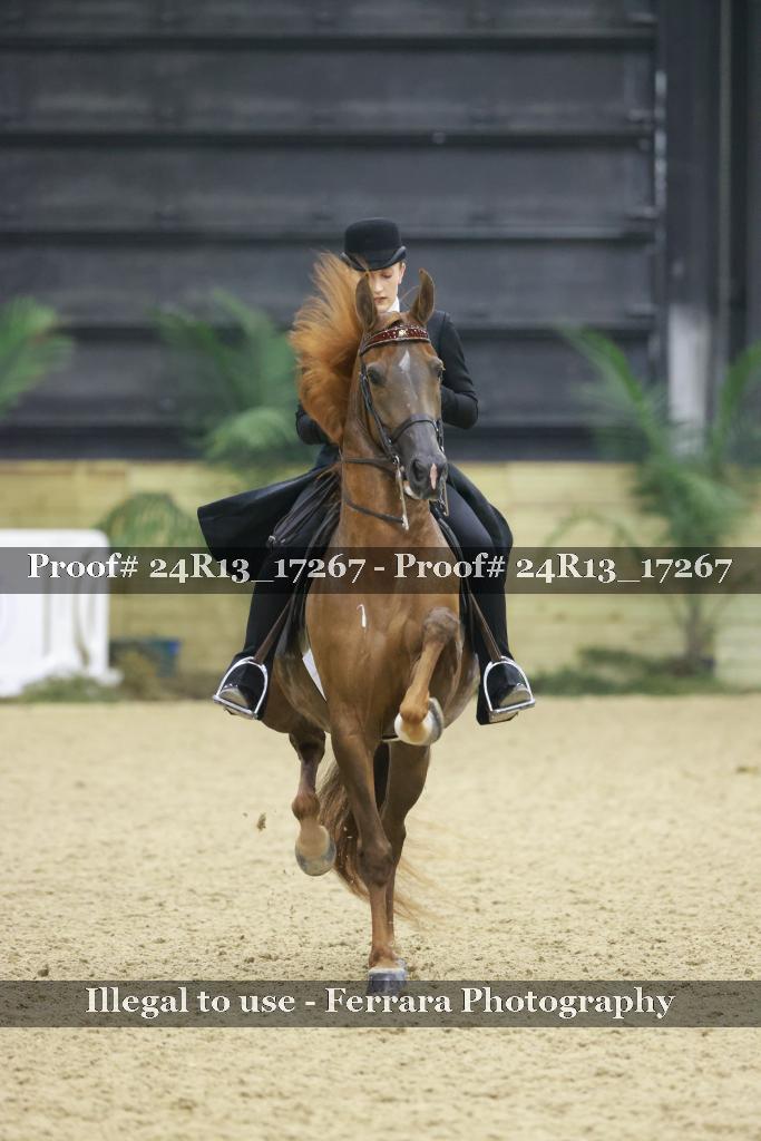 Proof 24R13_17267