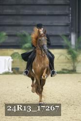 24R13_17267 proof