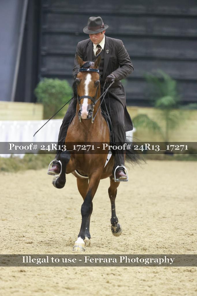 Proof 24R13_17271