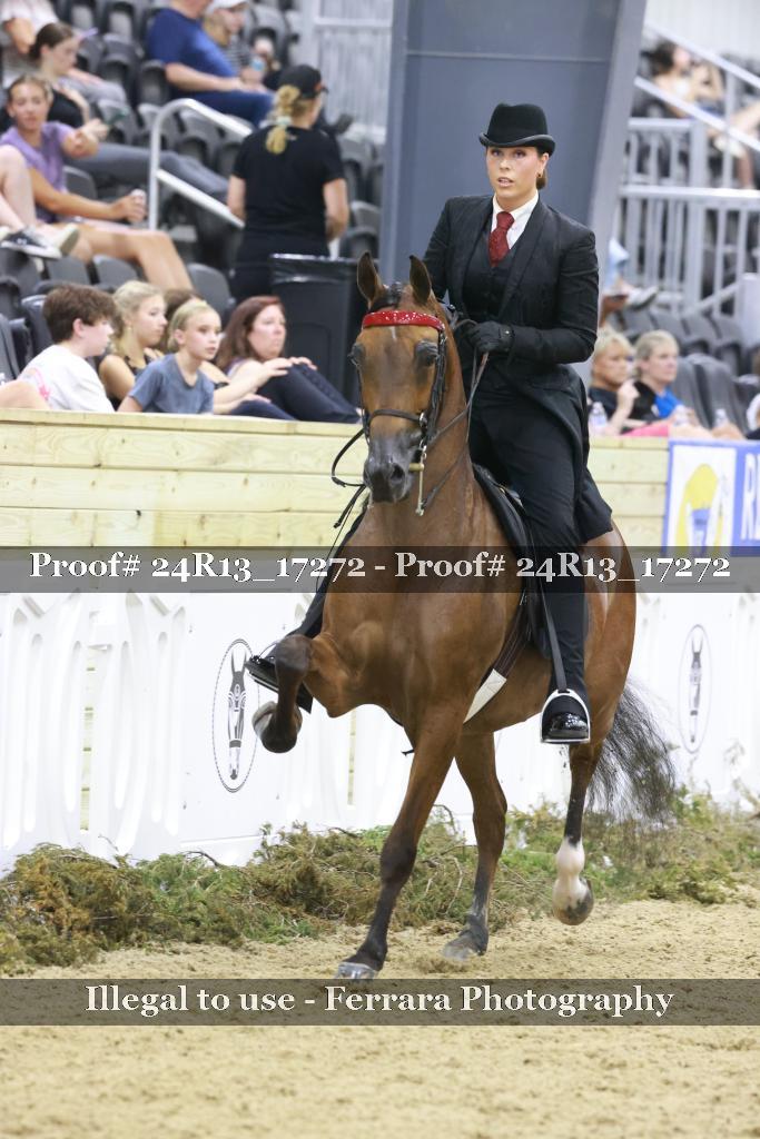 Proof 24R13_17272