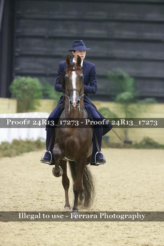 Proof 24R13_17273