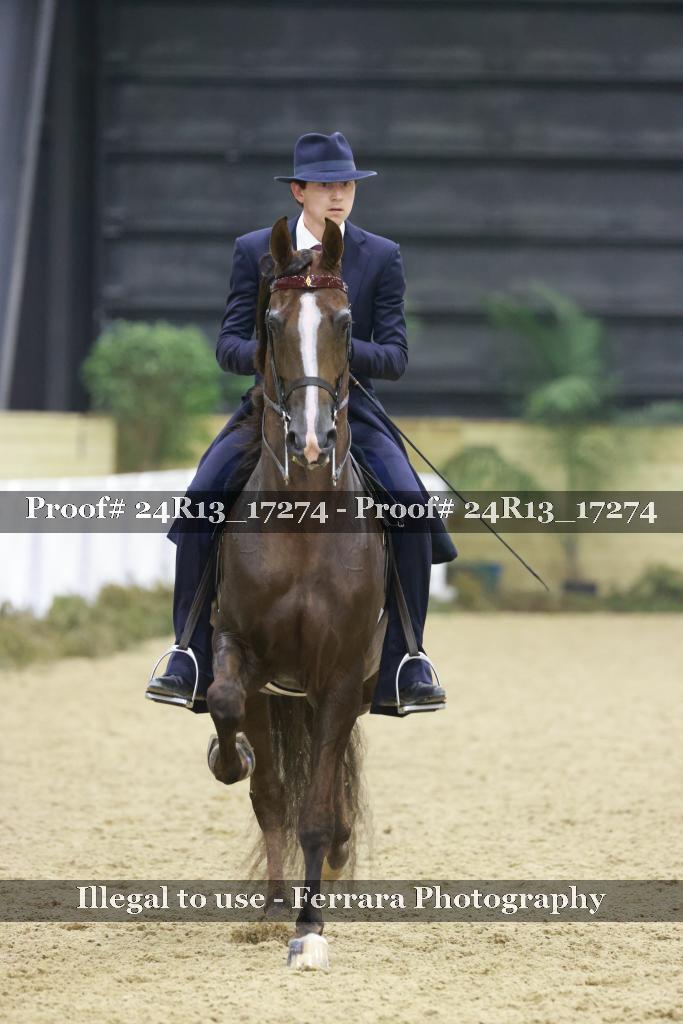 Proof 24R13_17274