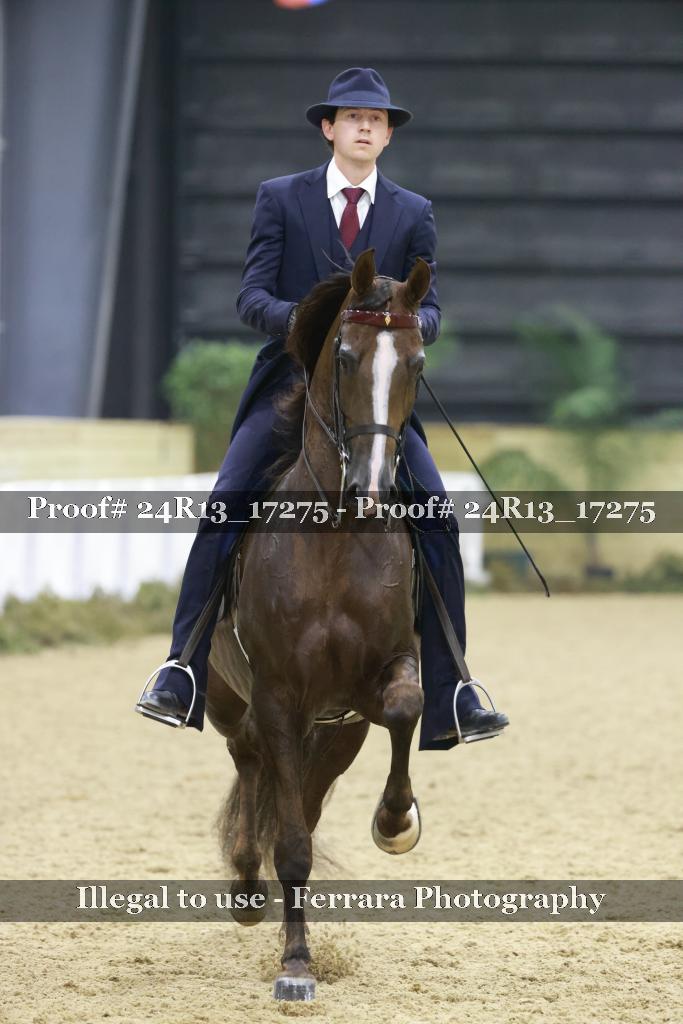 Proof 24R13_17275