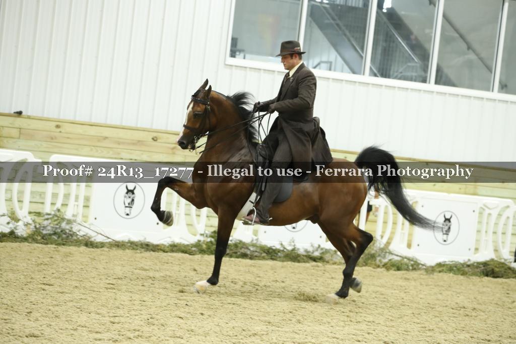 Proof 24R13_17277