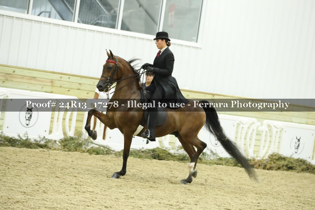 Proof 24R13_17278