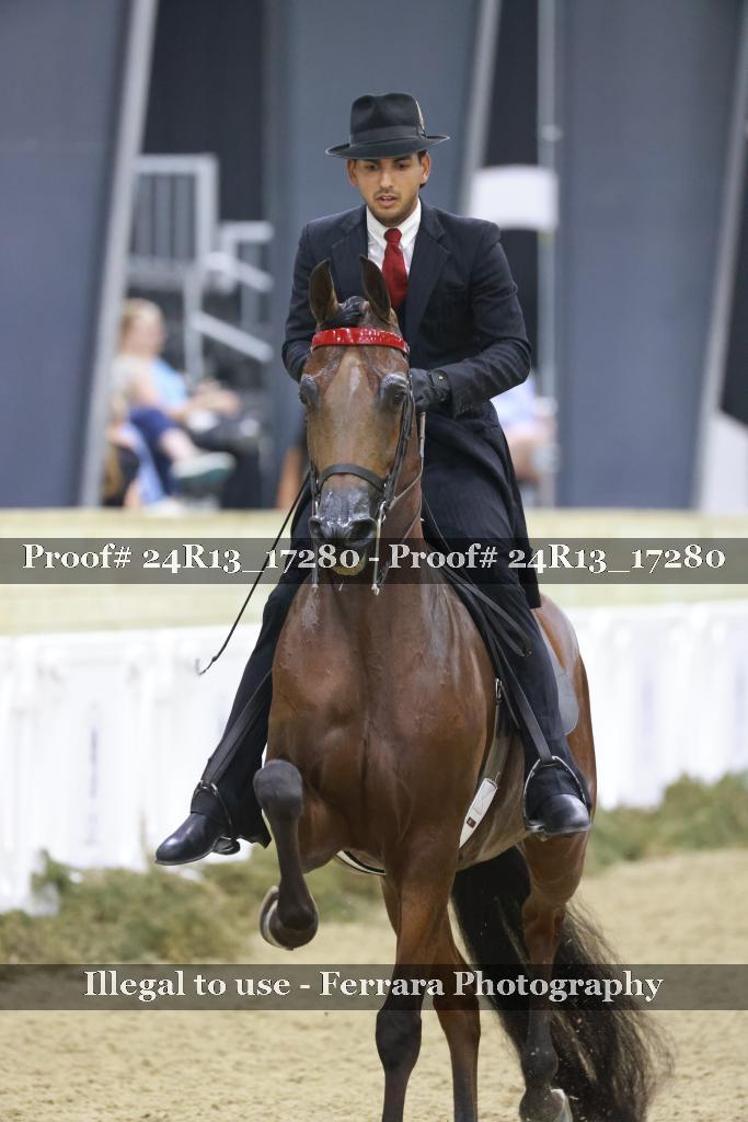 Proof 24R13_17280