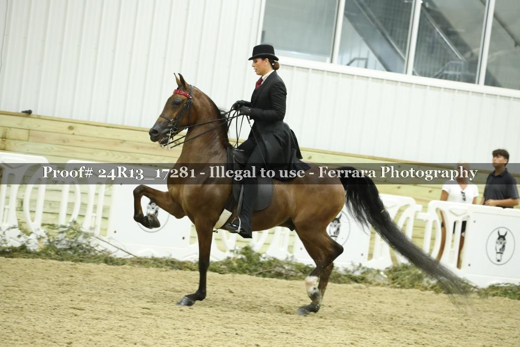 Proof 24R13_17281