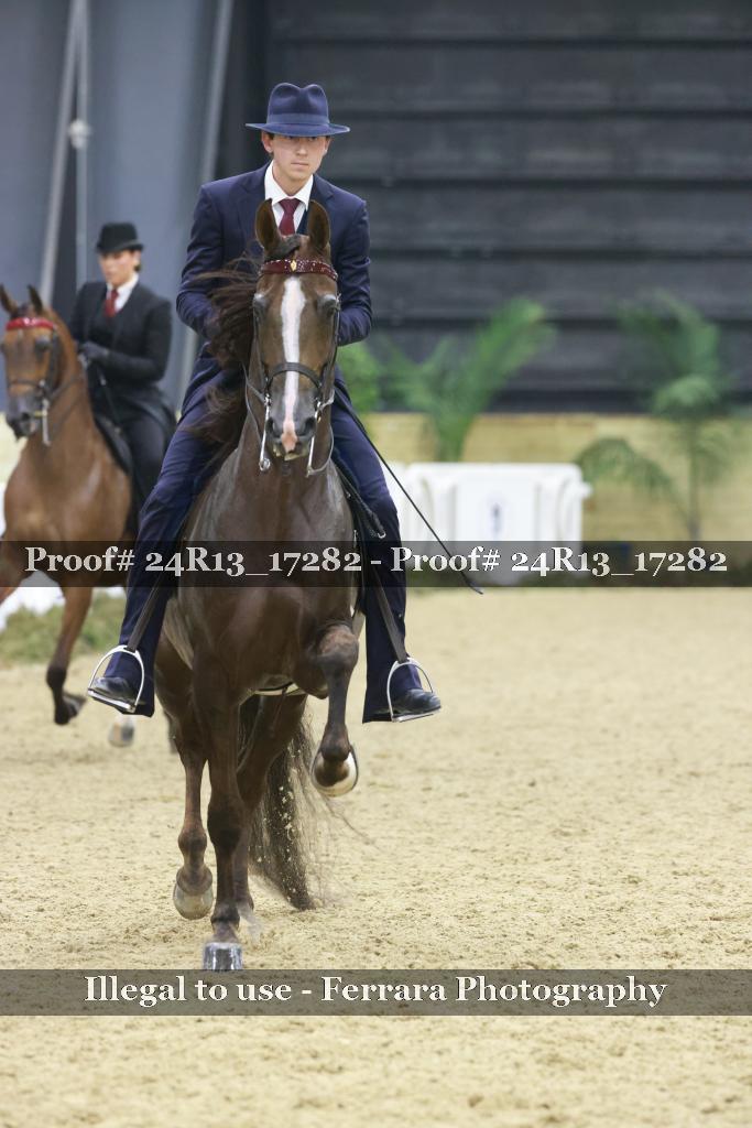Proof 24R13_17282