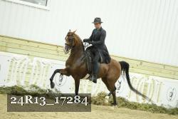 24R13_17284 proof