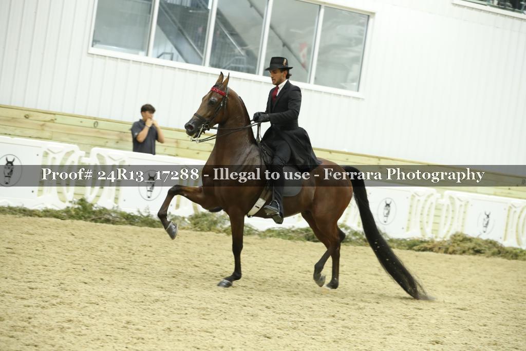 Proof 24R13_17288
