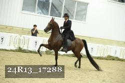 24R13_17288 proof