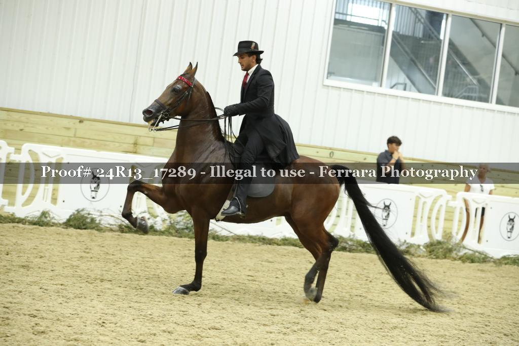 Proof 24R13_17289