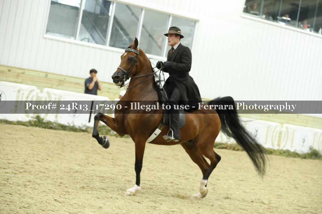Proof 24R13_17290
