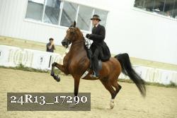 24R13_17290 proof