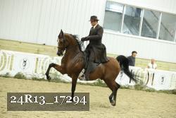 24R13_17294 proof