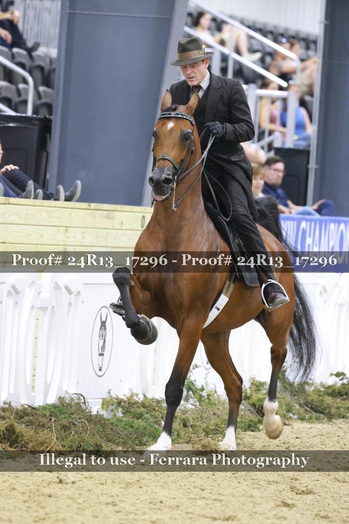 Proof 24R13_17296