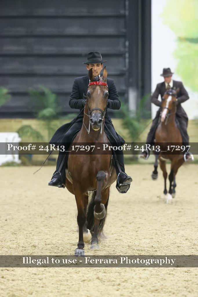 Proof 24R13_17297