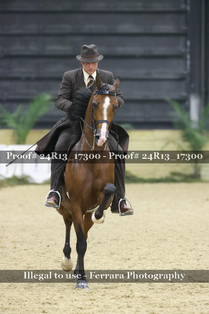 Proof 24R13_17300