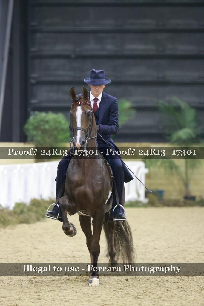Proof 24R13_17301