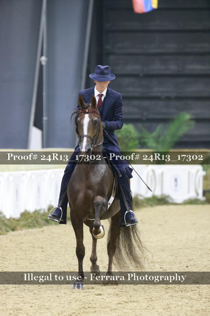 Proof 24R13_17302