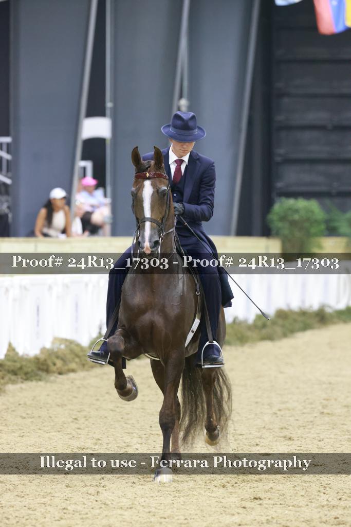 Proof 24R13_17303