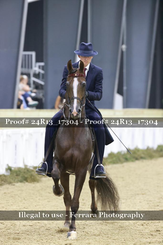 Proof 24R13_17304