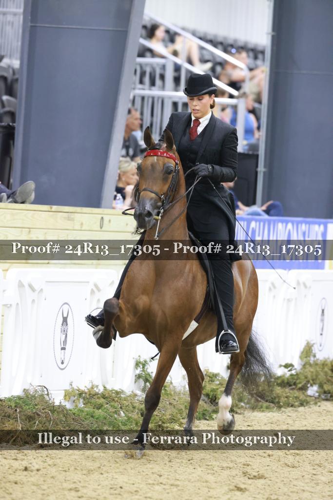 Proof 24R13_17305