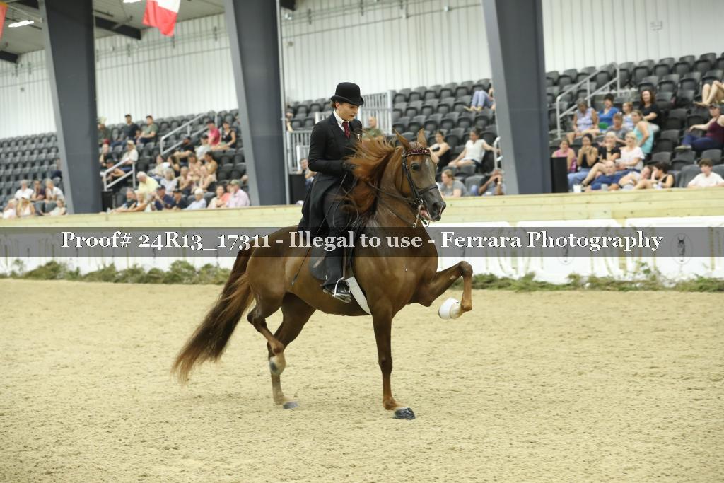 Proof 24R13_17311