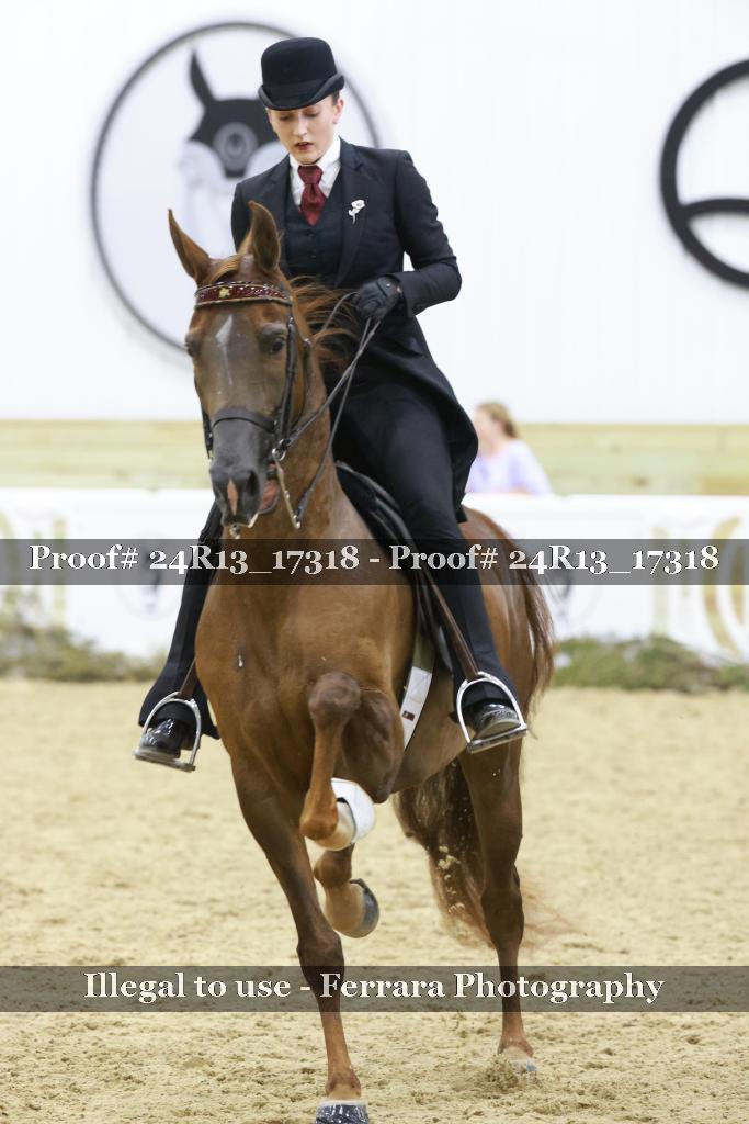 Proof 24R13_17318