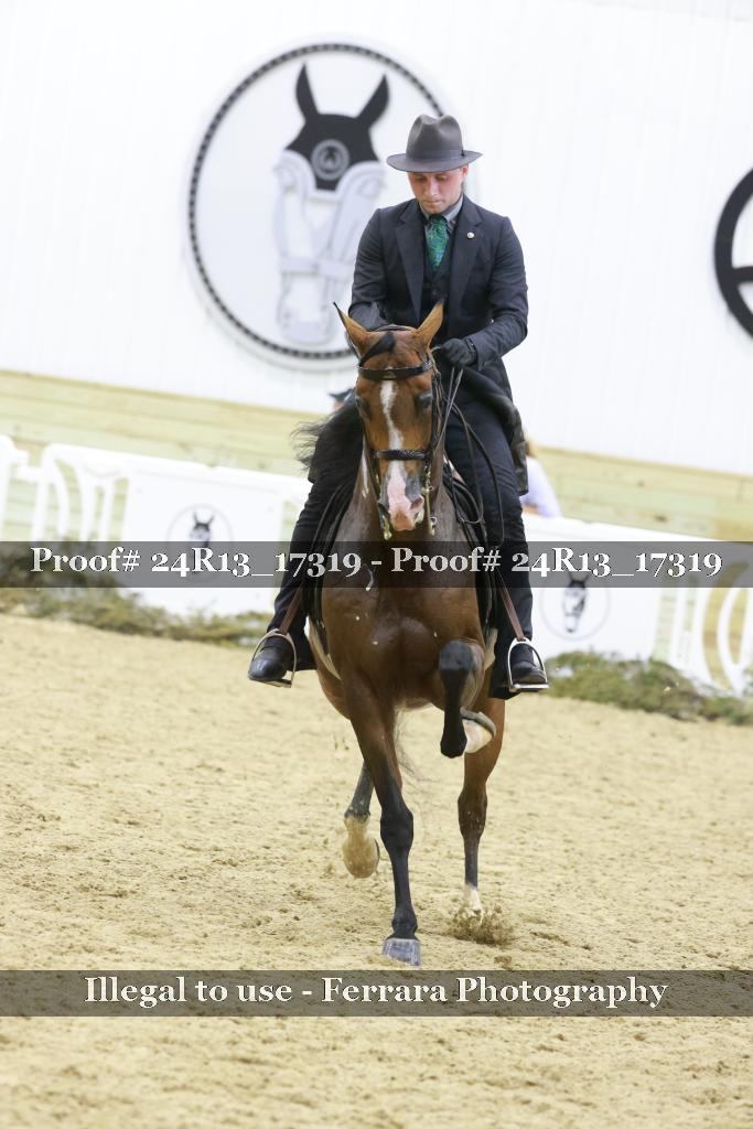 Proof 24R13_17319
