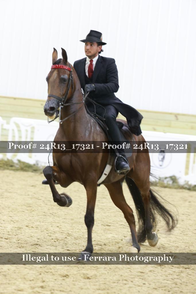 Proof 24R13_17321