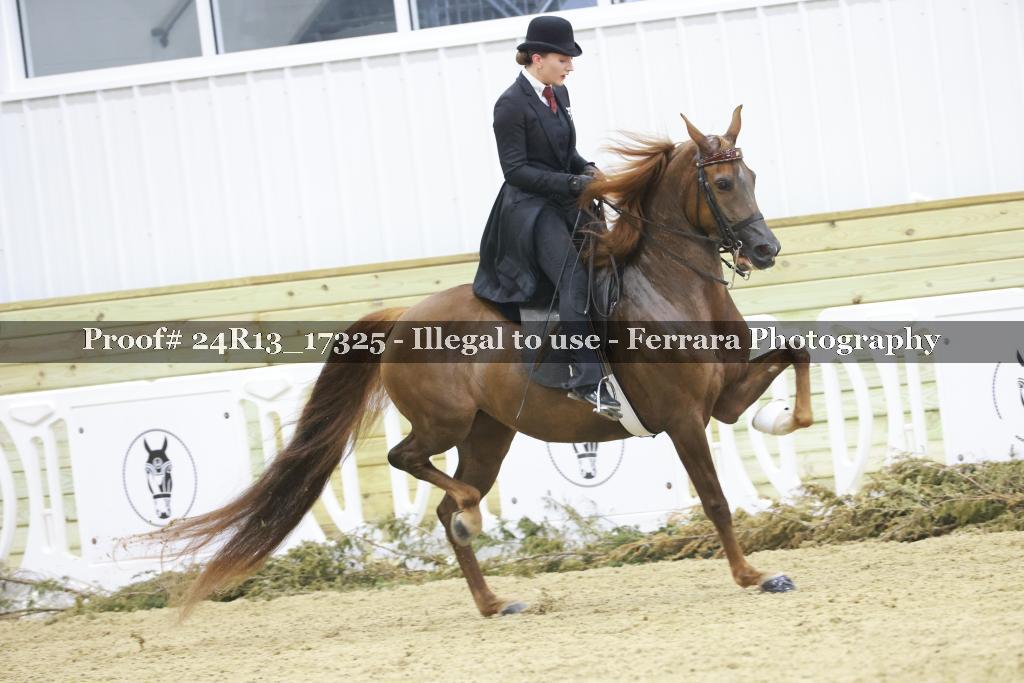 Proof 24R13_17325