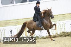 24R13_17325 proof
