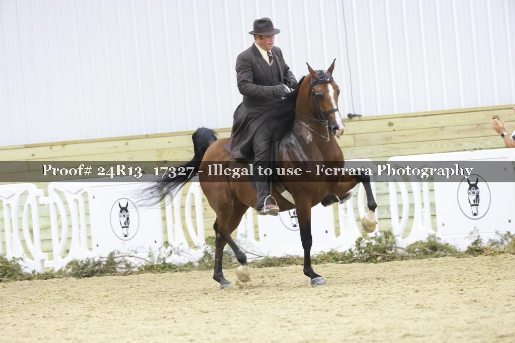 Proof 24R13_17327