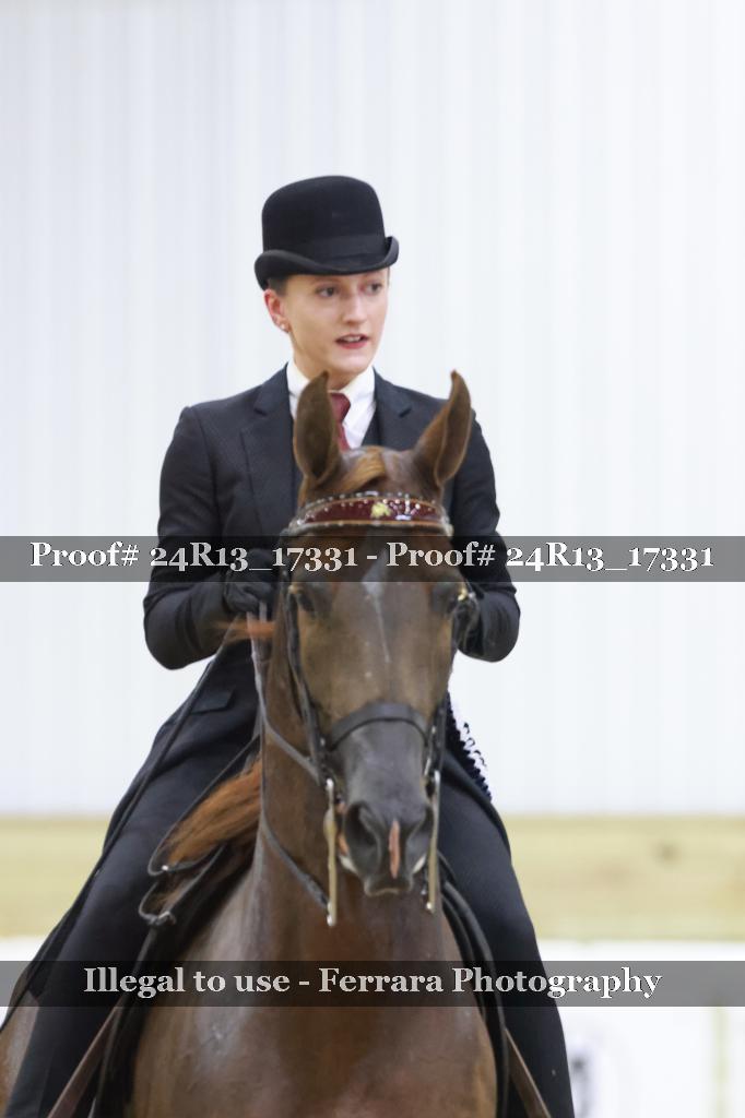 Proof 24R13_17331