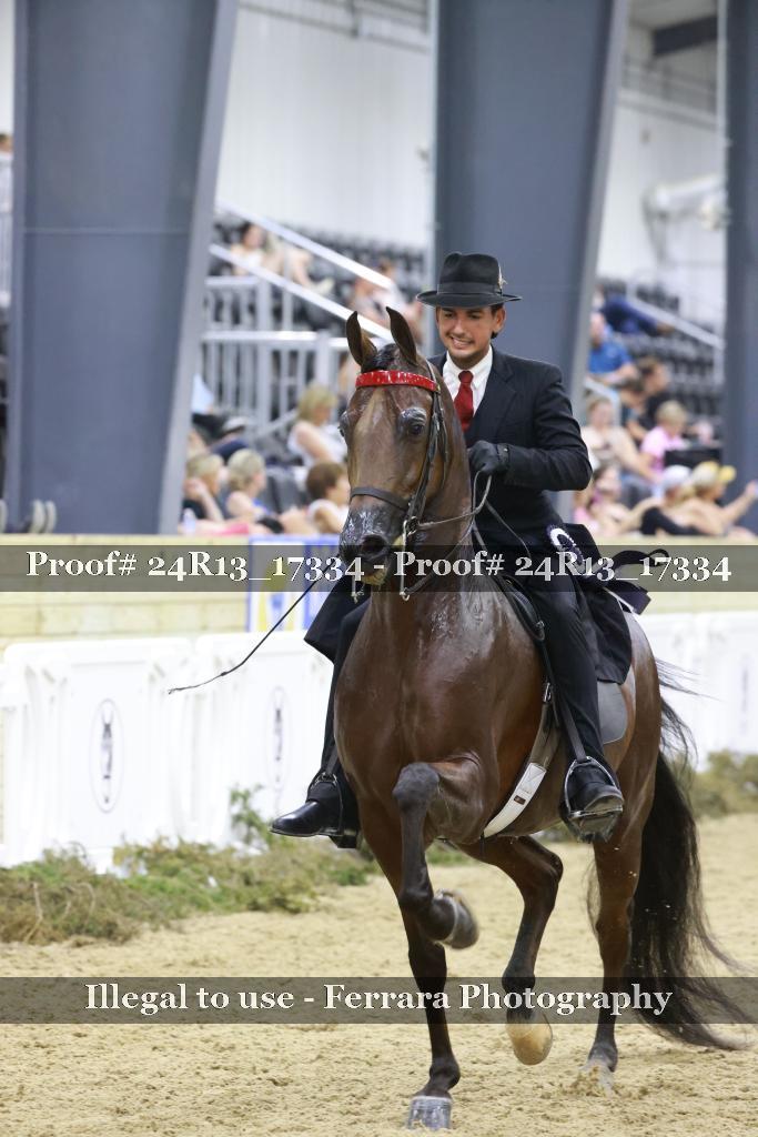 Proof 24R13_17334