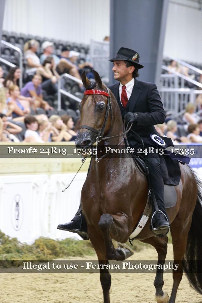 Proof 24R13_17335