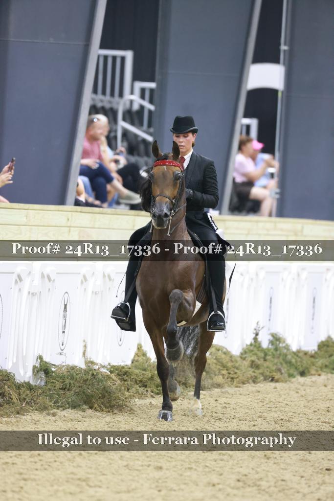 Proof 24R13_17336