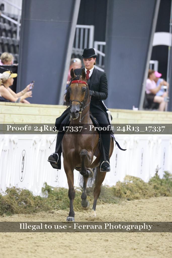 Proof 24R13_17337