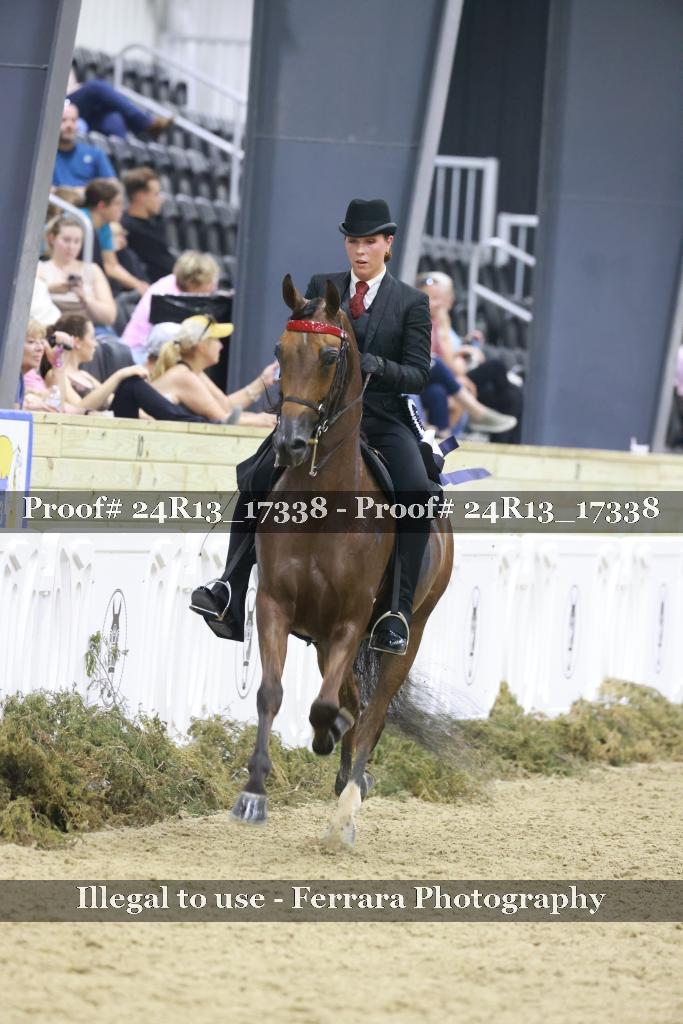 Proof 24R13_17338