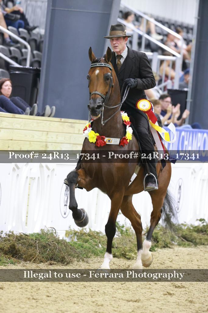 Proof 24R13_17341