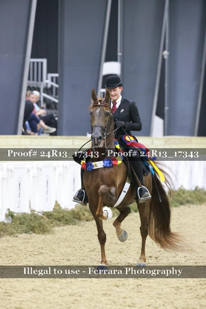 Proof 24R13_17343
