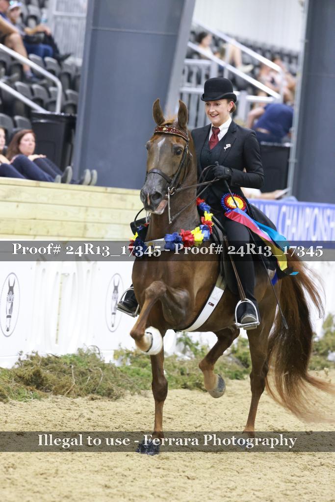 Proof 24R13_17345
