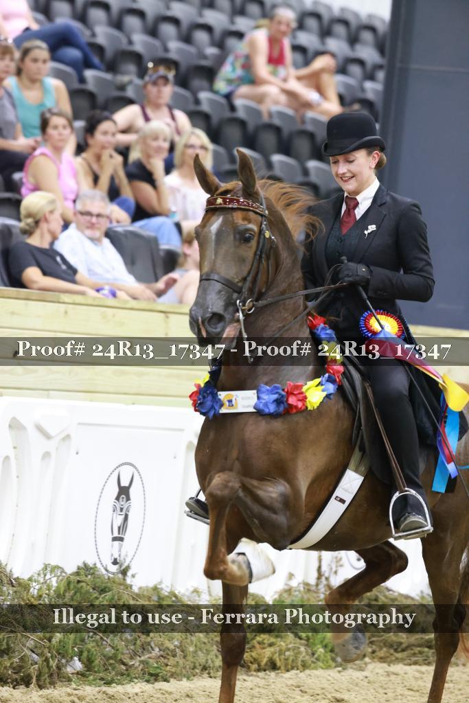 Proof 24R13_17347
