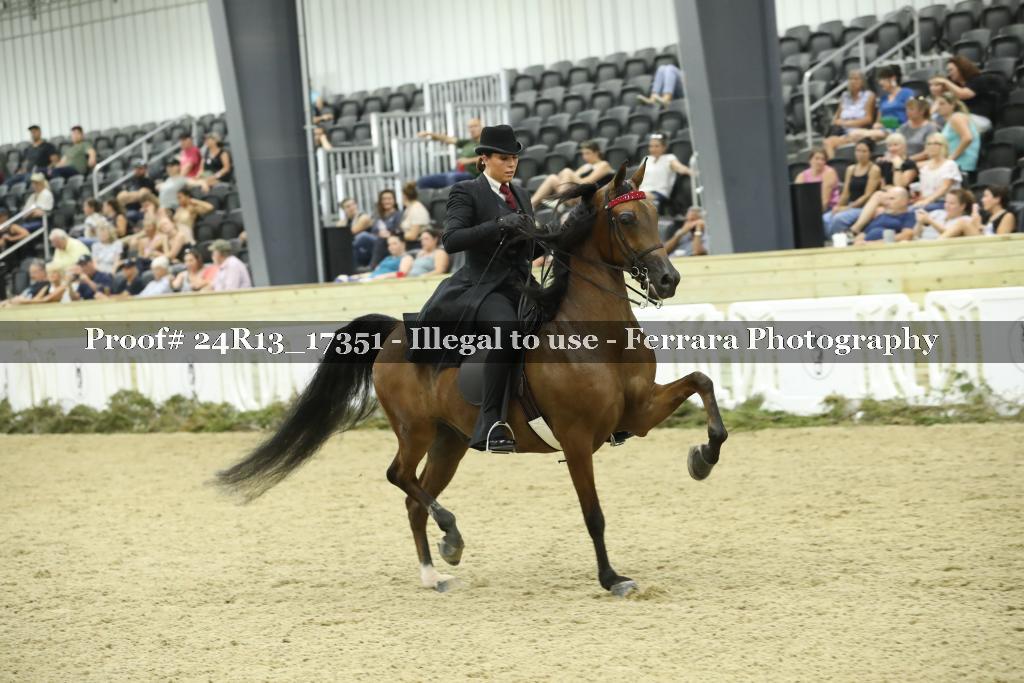 Proof 24R13_17351