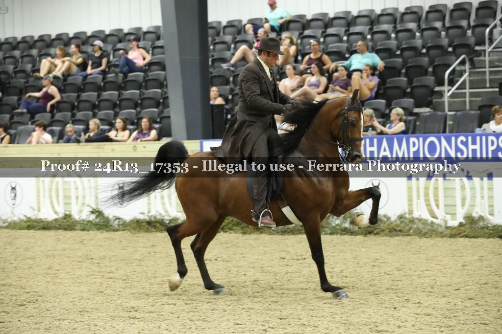 Proof 24R13_17353