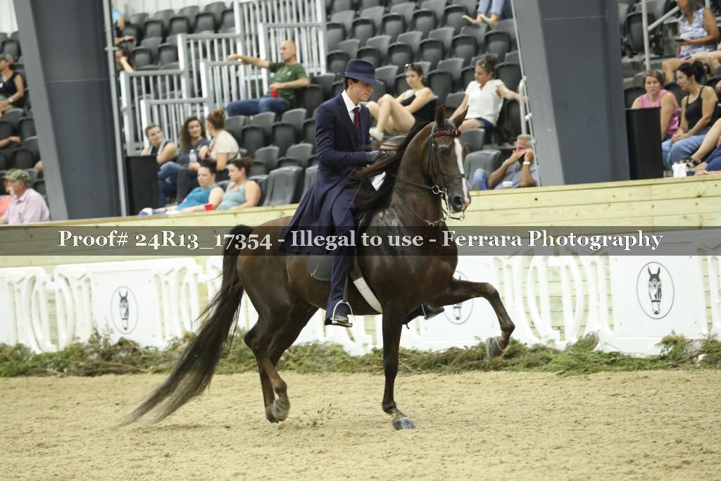 Proof 24R13_17354