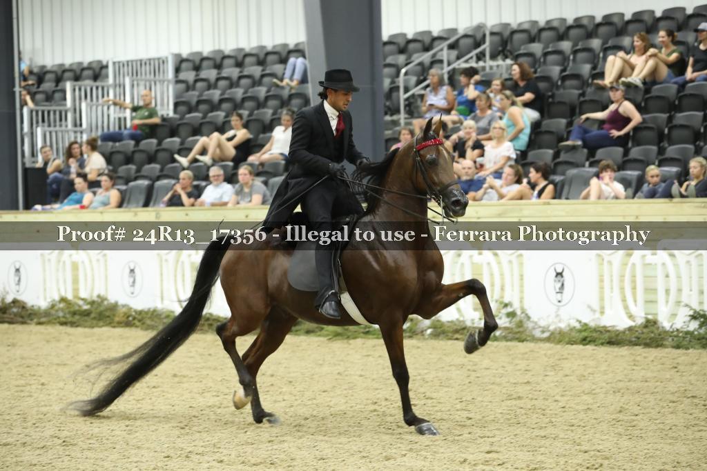Proof 24R13_17356