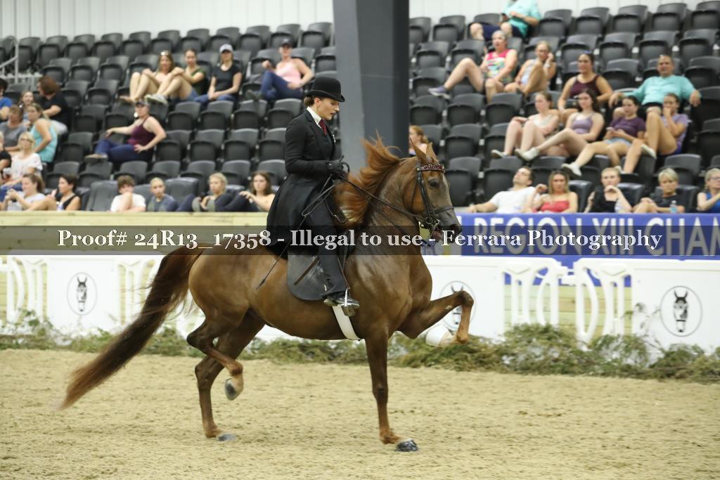 Proof 24R13_17358